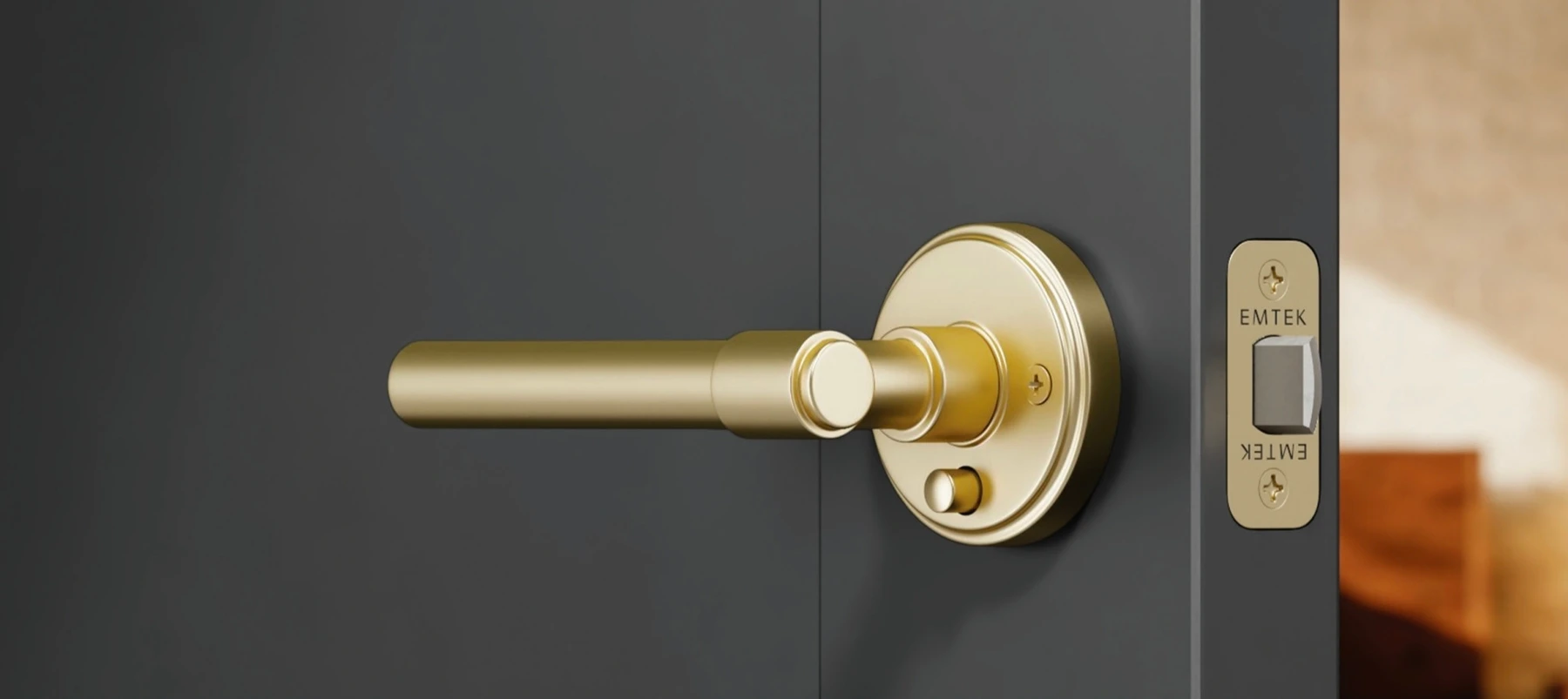 Gold-toned lever with a round plate on a charcoal-colored door